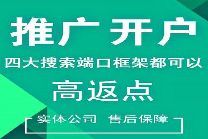 如何在有限预算下最大化百度推广费用的效果——案例解读